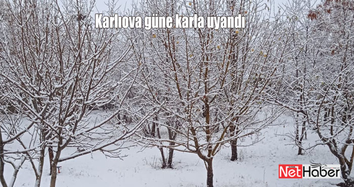 Karlıova güne karla uyandı