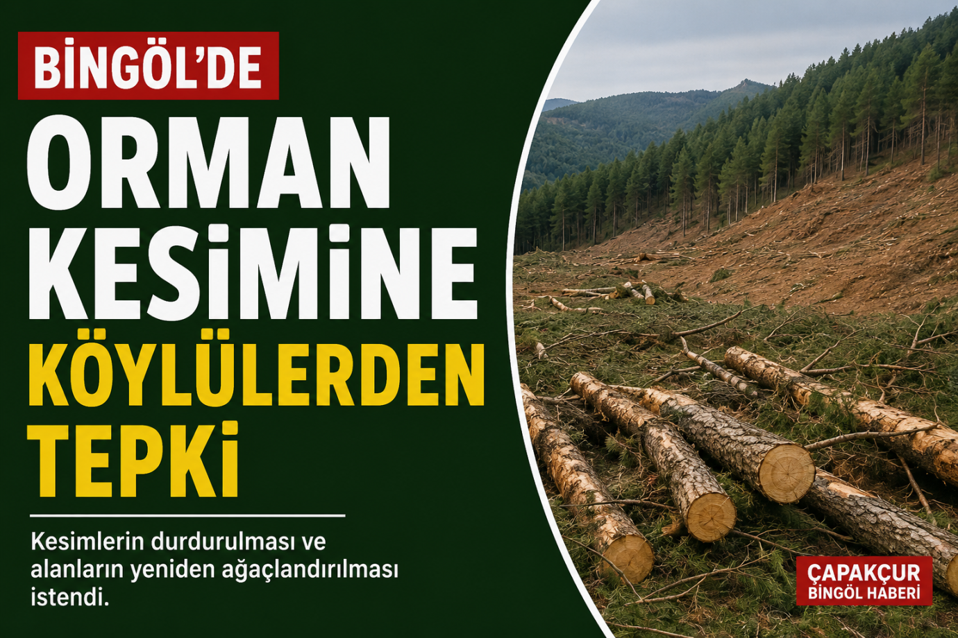 BİNGÖL'DE ORMAN KESİMİNE TEPKİ