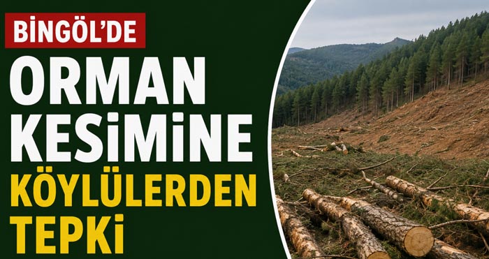 Bingöl'de orman kesimine tepki