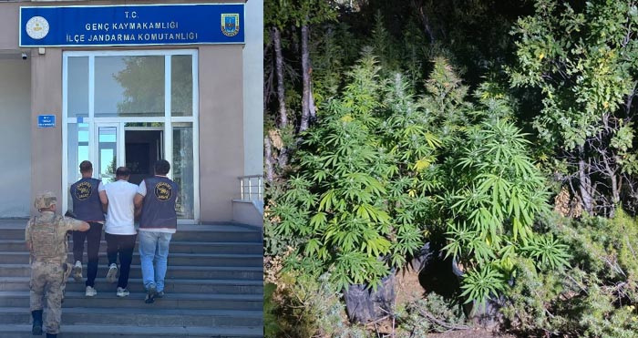 Bingöl’de jandarmadan bir haftada 41 olaya müdahale