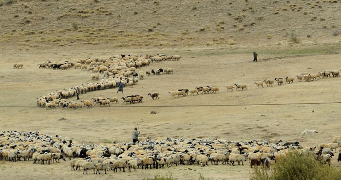Bingöl'de 42 yayla kiraya verilecek