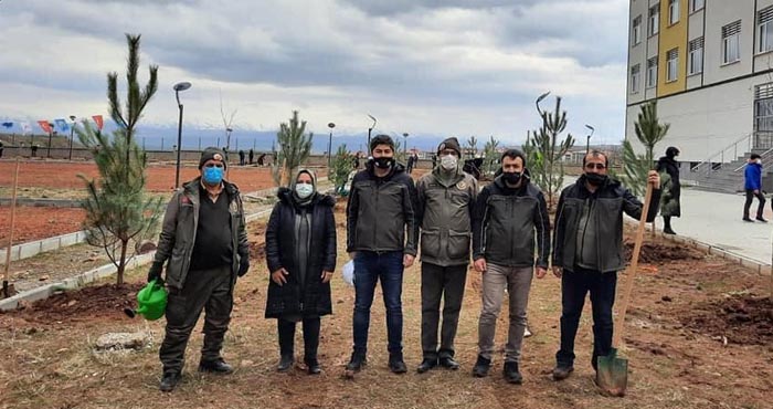 Dünya Ormancılık Haftasında fidanlar toprakla buluşturuldu