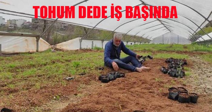 Yerli tohumdan üretilen sebze fideleri satışta