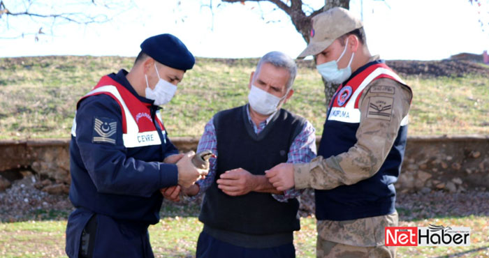 Yaralı kekliğe jandarma sahip çıktı