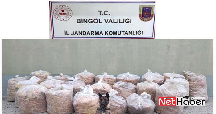 Bingöl'de 850 kilo kaçak tütün ele geçirildi