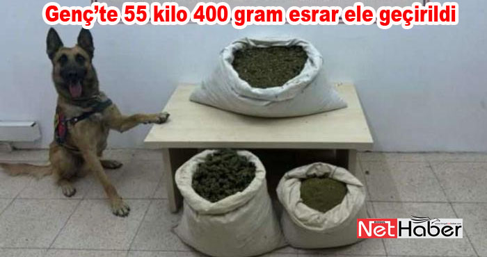 Uyuşturucu operasyonları sürüyor: 55 kilo 400 gram esrar ele geçirildi