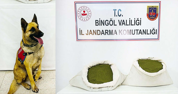 Bingöl'de 45 kilogram esrar ele geçirildi